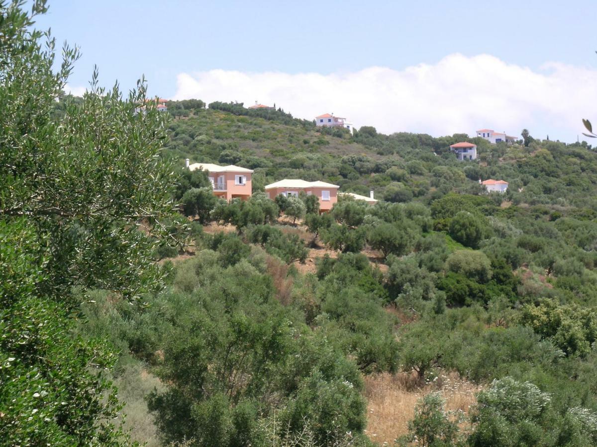Schiza Houses Finikounta Buitenkant foto